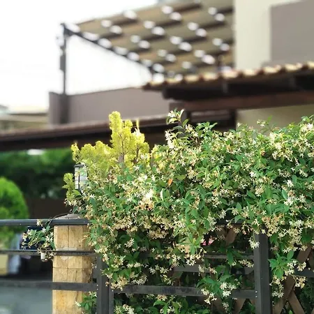 Pavlos Apartament Chrysi Ammoudia